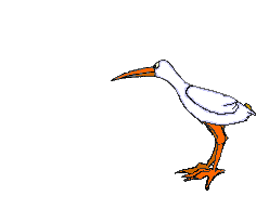 Wormdive[1].gif (11942 bytes)